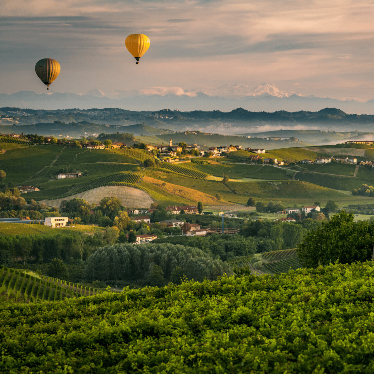 The Good Life in Piemonte & the Langhe