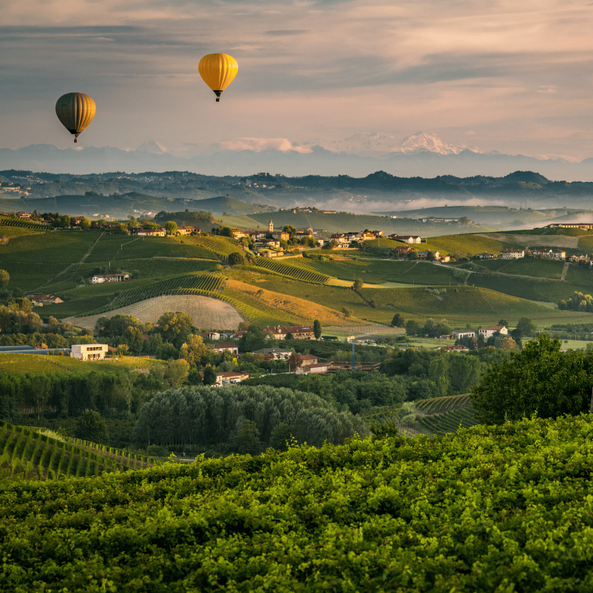 Genuine Living in Piemonte Wine Region