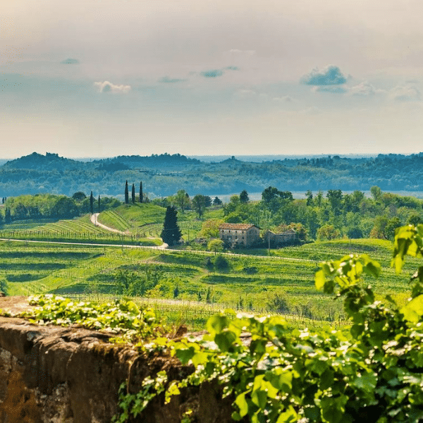 Local Discoveries in Friuli & Slovenia